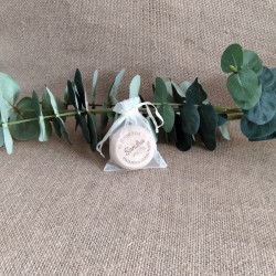 Yoyó - Paloma